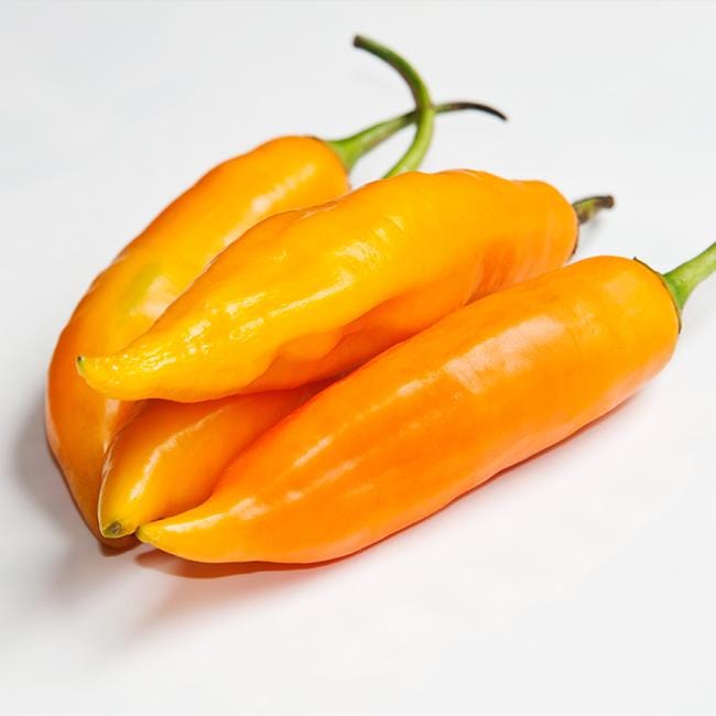 Aji Amarillo Pepper Seeds Novelty