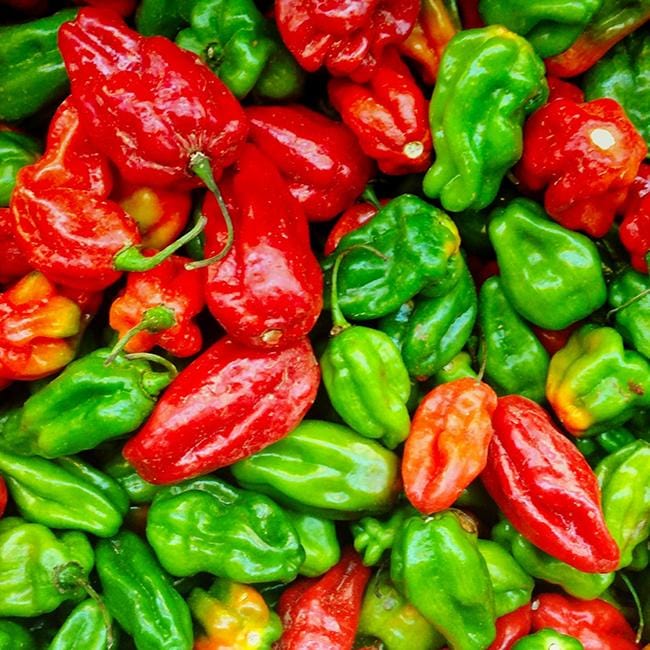 Aji Dulce Pepper Seeds Novelty