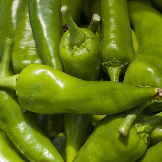 Anaheim Chili Seeds Novelty