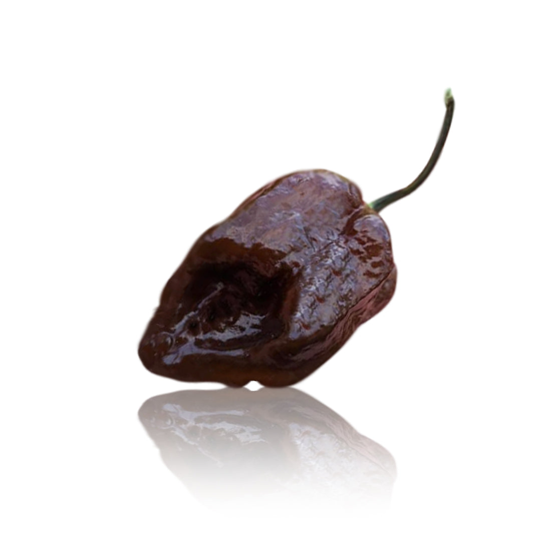 Armageddon Chocolate Pepper Seeds Superhot