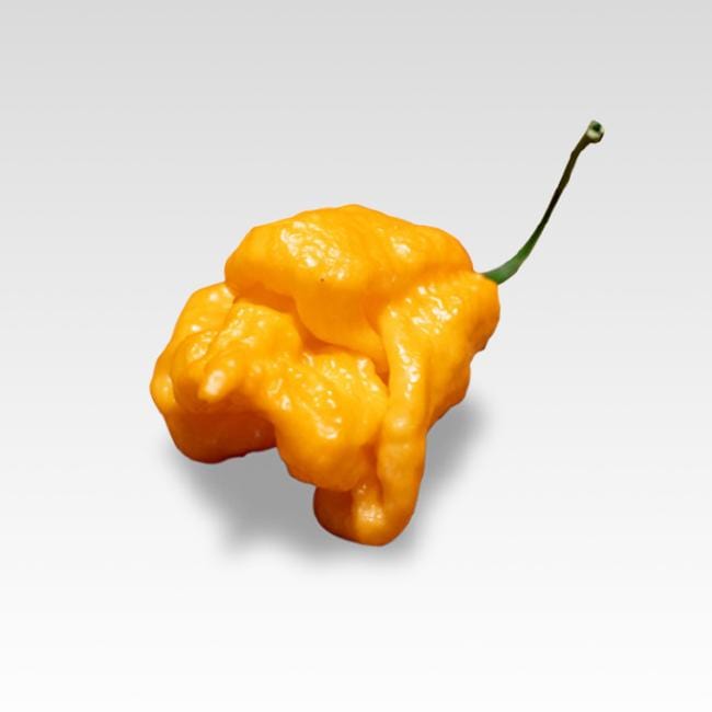 Bhut Orange Copenhagen Seeds Superhot