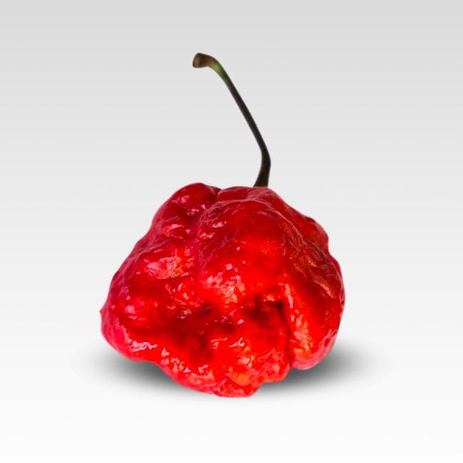 Pepper Joe's Brazilian Moruga seeds - red brazilian moruga pepper on white background