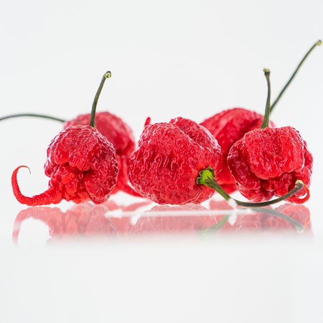 Carolina Reaper Pepper Seeds for sale - Aka Hp22B Champion