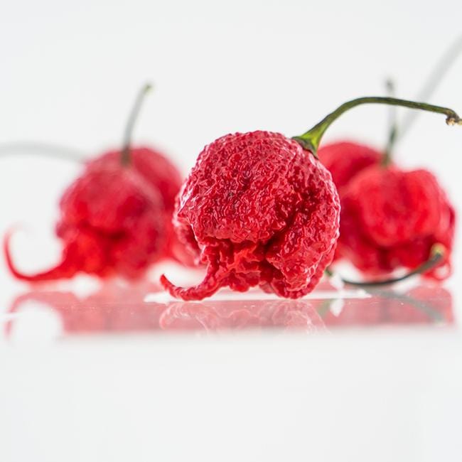 Carolina Reaper Pepper Seeds for sale - Aka Hp22B Champion