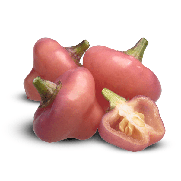 Cheiro Roxa pepper pinkish color, pepper pod and membrane