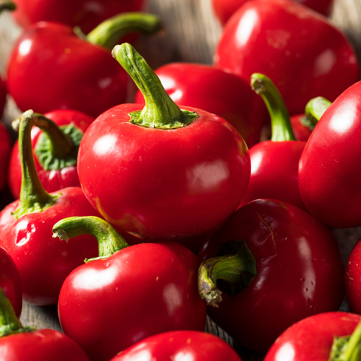 plant hot pepper seeds Cherry Hot Pepper Seeds, 10+ Seeds