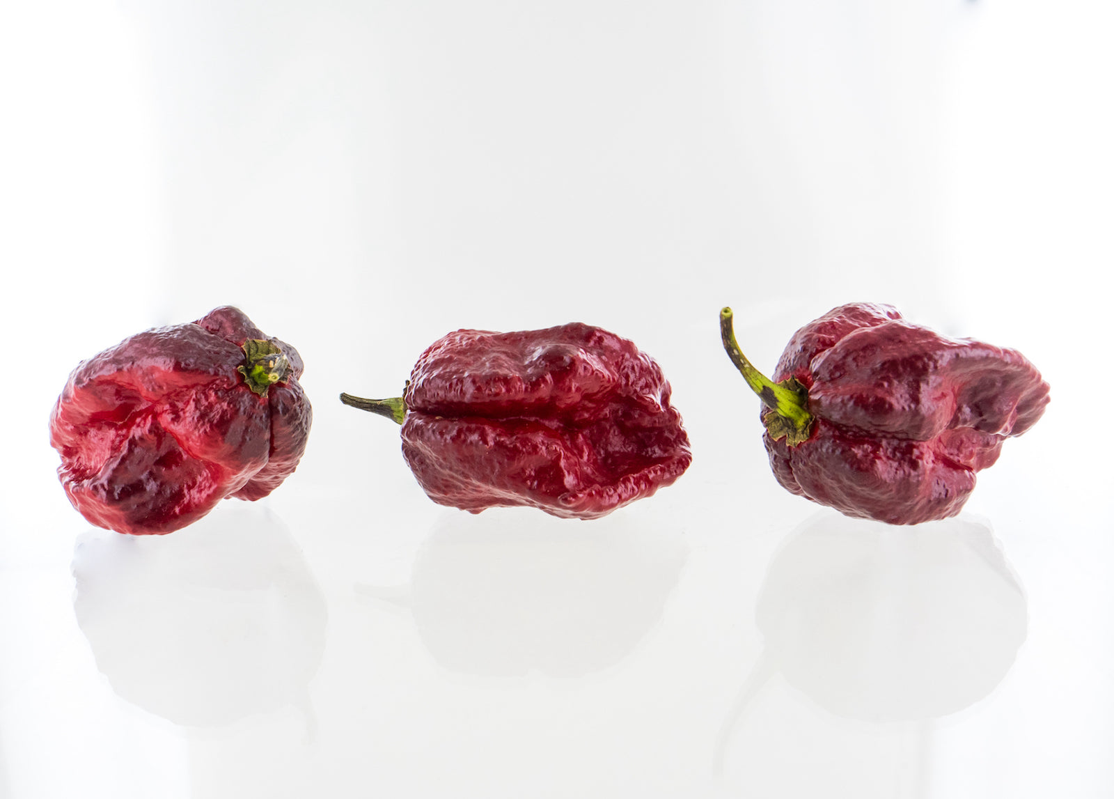 Pepper Joe's Orion chili seeds - three Orion peppers on white background