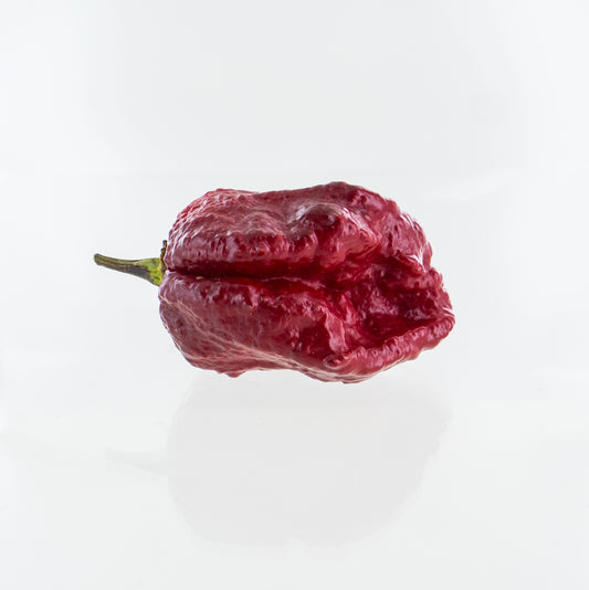 Pepper Joe's Orion pepper seeds - Orion chili on white background
