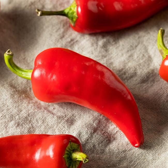 Pepper Joe's Chili Fresno seeds - red fresno chilis on wooden table