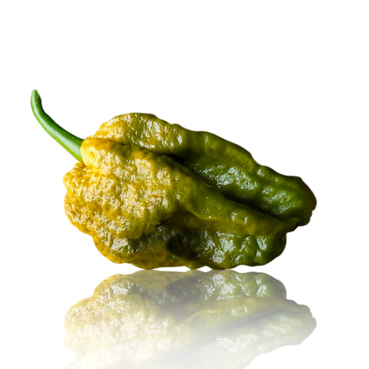 Pepper Joe's Mustard Bhut Jolokia pepper seeds - Mustard Ghost pepper seeds