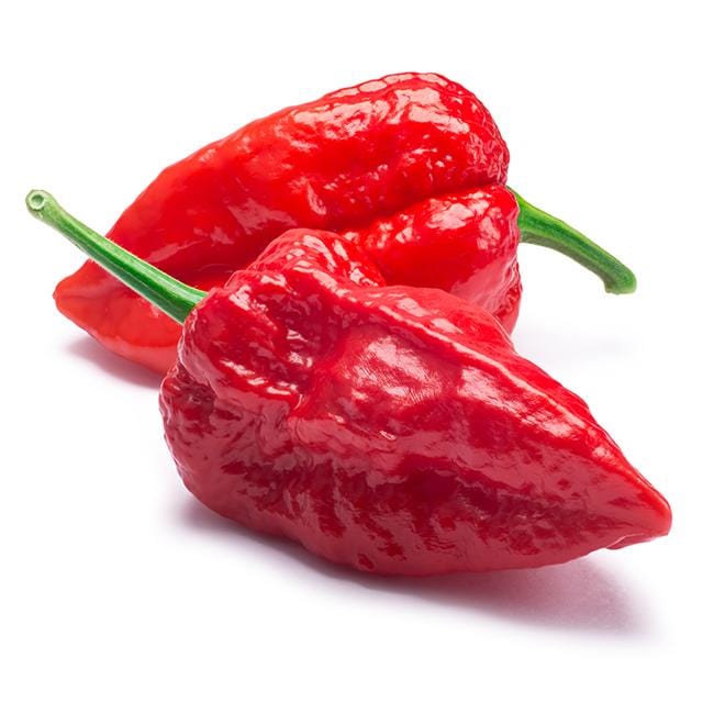 Ghost Pepper Seeds - Bhut Jolokia Champion