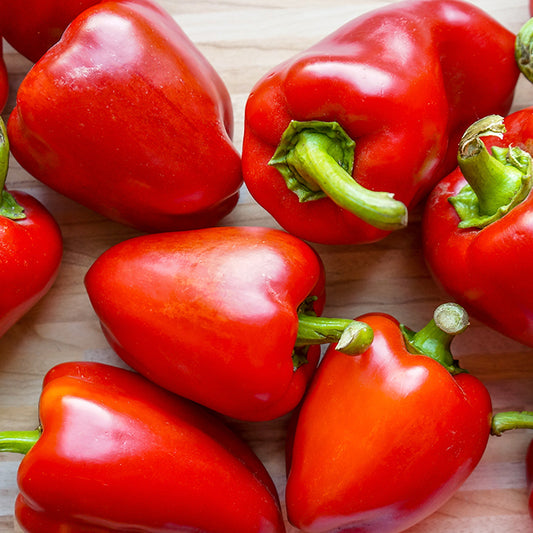 Pepper Joe's Carolina Reaper Hot Sauce 3-Pack - multiple red peppers on wooden table