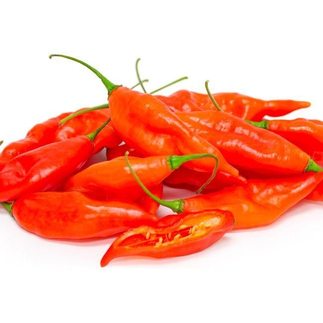 Pile of orange Hot Paper Lantern peppers with green stems