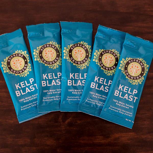 Kelp Blast Fertilizer 10-Pack - Pepper Joe's