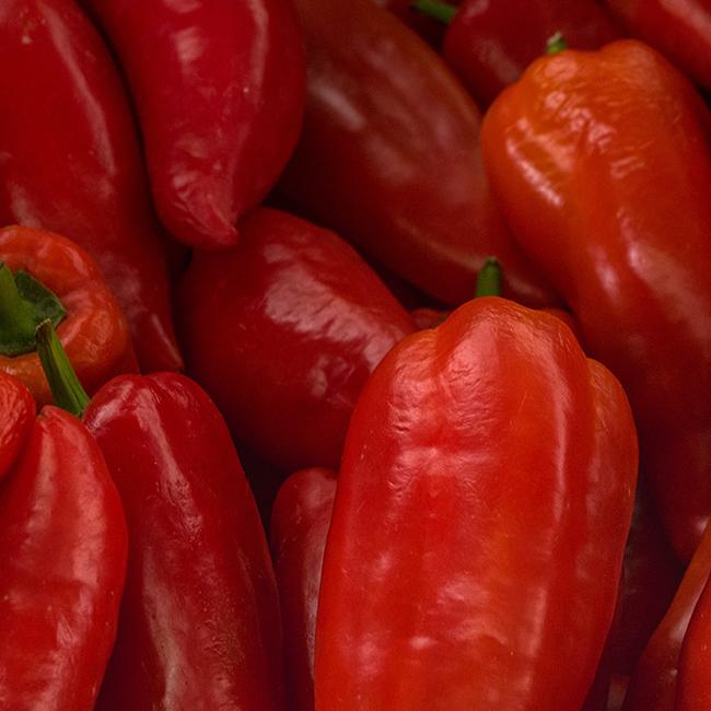 Marconi Italian Red Pepper Seeds Sweet