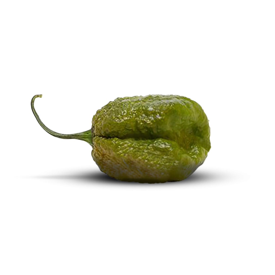 Pepper Joe's Pepper "B" Mustard pepper seeds