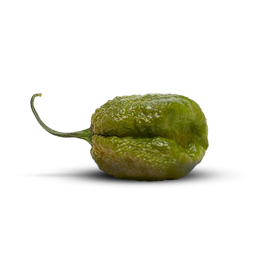 Pepper Joe's Pepper "B" Mustard pepper seeds
