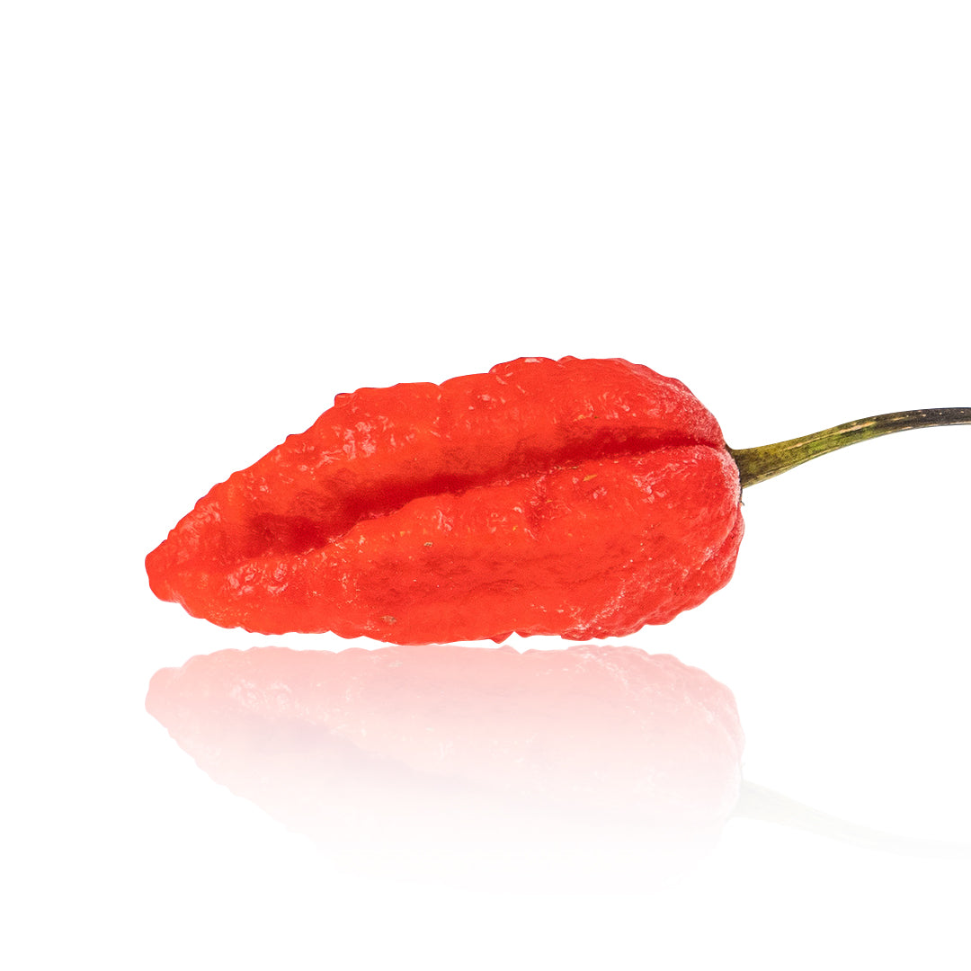 Pepper Joe's Mojo Pumpkintail seeds - Mojo Pumpkintail pepper pod on white background