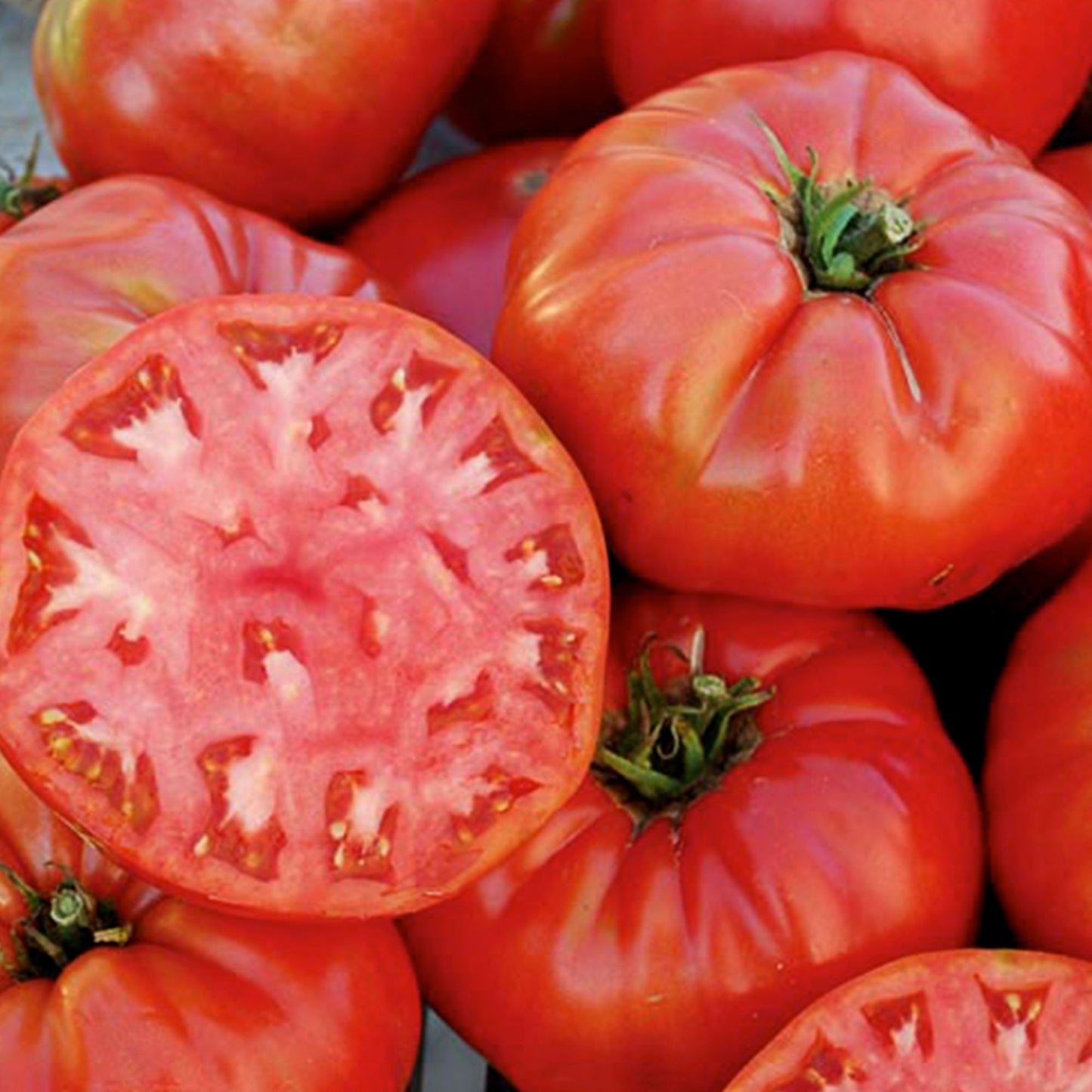 several Mortgage Lifter Tomatos used to display tomato seeds for sale