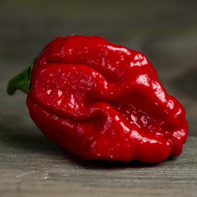 Pepper Joe's red moruga scorpion pepper on wooden table image