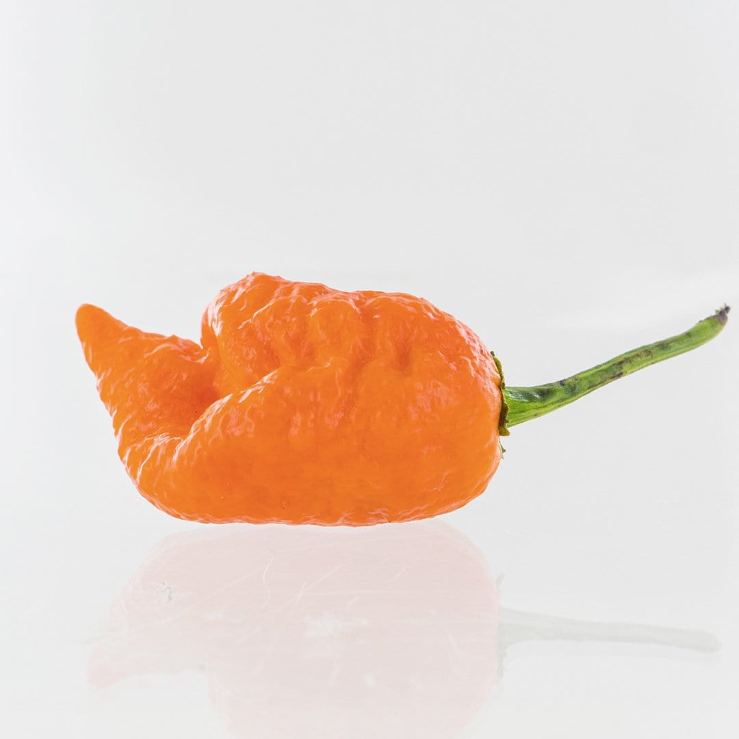 Peach Mutant X Pepper Seeds Superhot