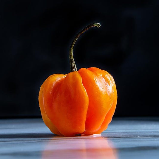 Orange Scotch Bonnet Pepper seeds