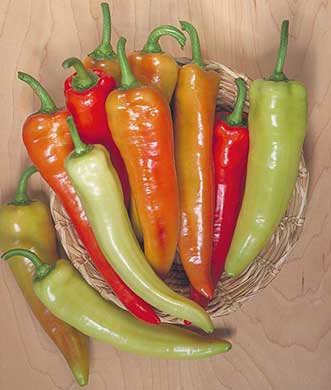 Inferno F1 Pepper Seeds Novelty