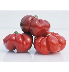 Round Of Hungary Pepper Seeds Sweet