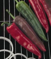 Griller Pepper Seeds Novelty