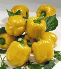 Goldrush F1 Pepper Seeds Sweet