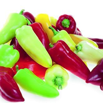 Motley Crew sweet pepper; buy your seed here - Sea Spring Seeds