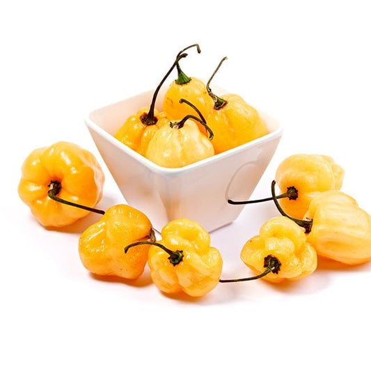 Peach Habanero Seeds