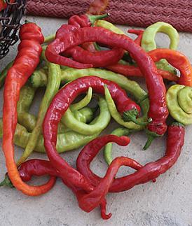 Ristra Cayenne Pepper Seeds Novelty