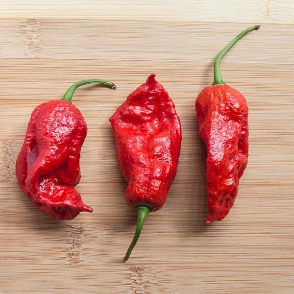 King Naga Pepper Seeds from Pepper Joe's