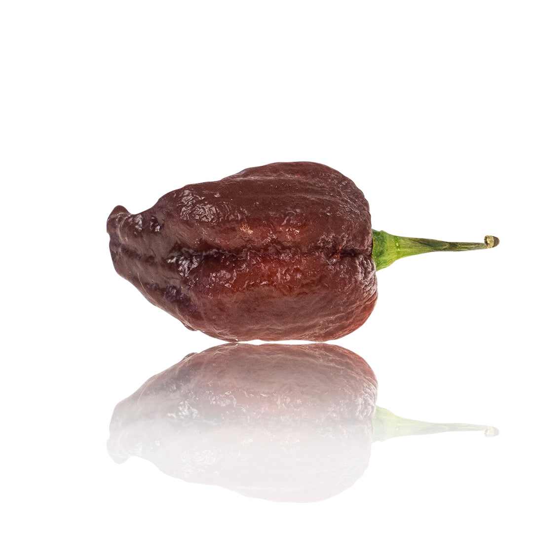 Pepper Joe's Purple Reaper pepper seeds - Purple Reaper chili on white background