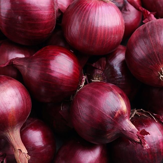 Cabernet Red Onion Seeds