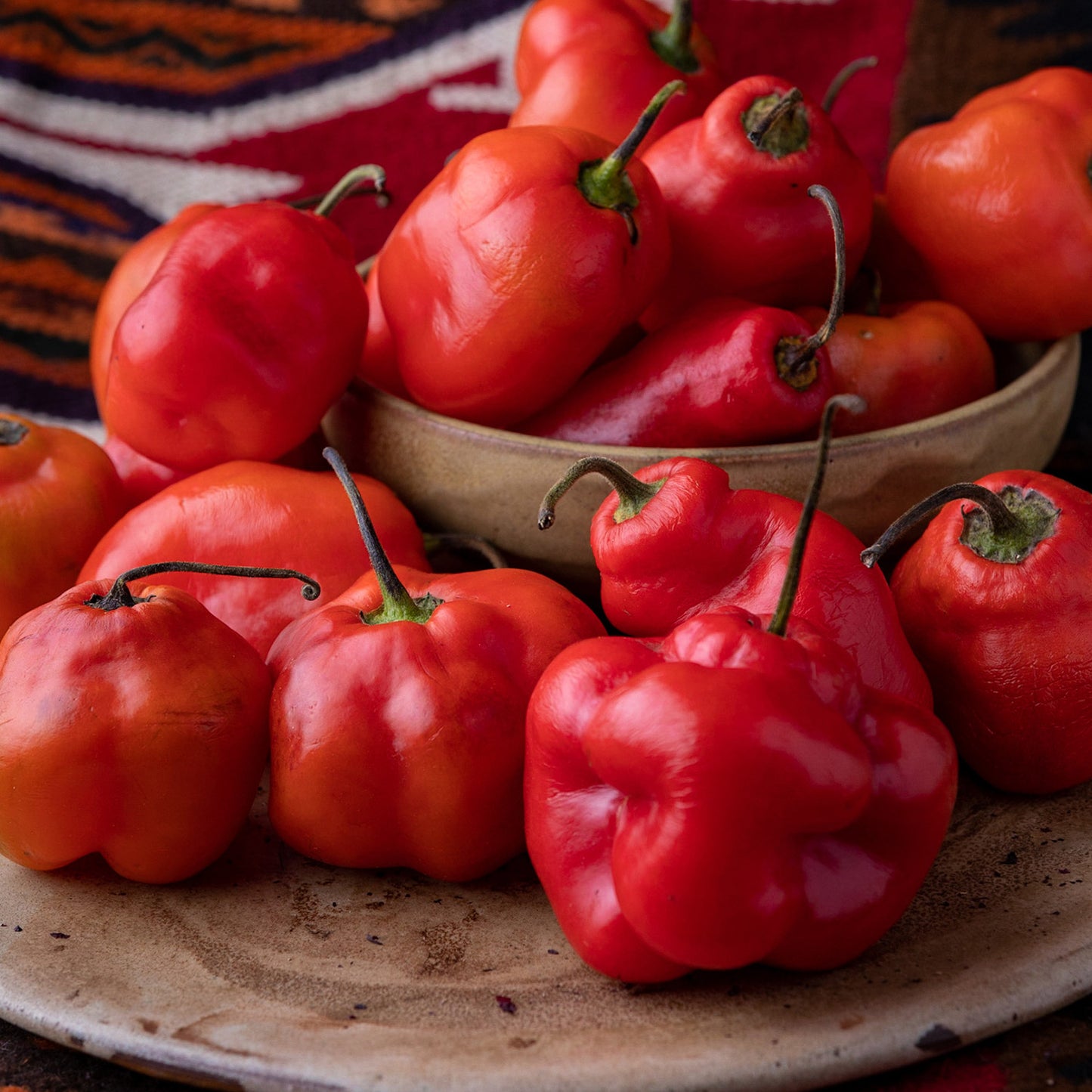 Pepper Joe's Red Rocoto Pepper Seeds