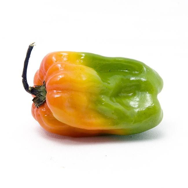 Hot Scotch Bonnet Seeds Collection