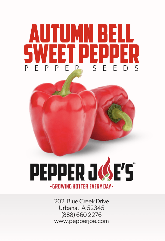 Sweet red bell pepper seeds