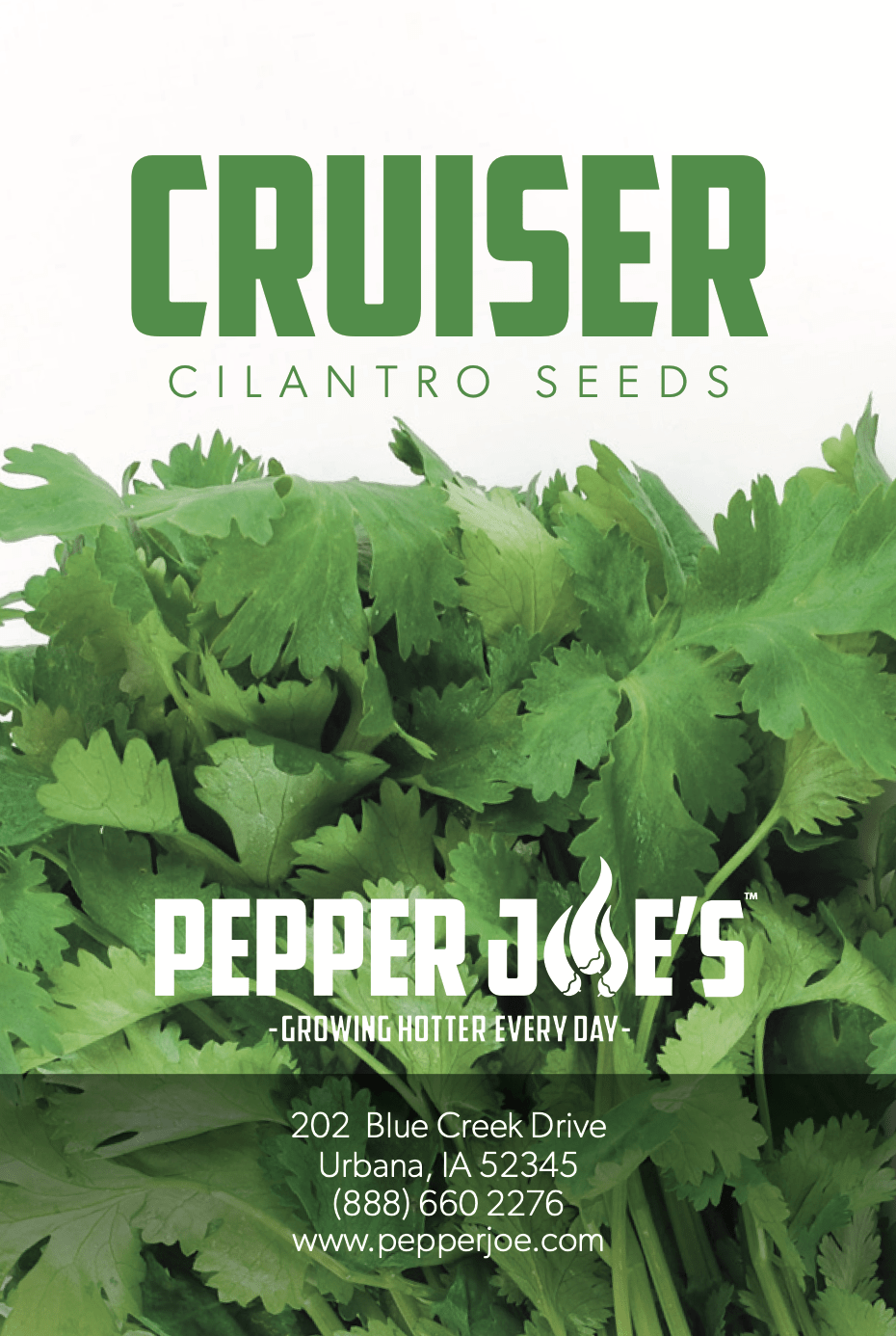 Cruiser Cilantro Seeds