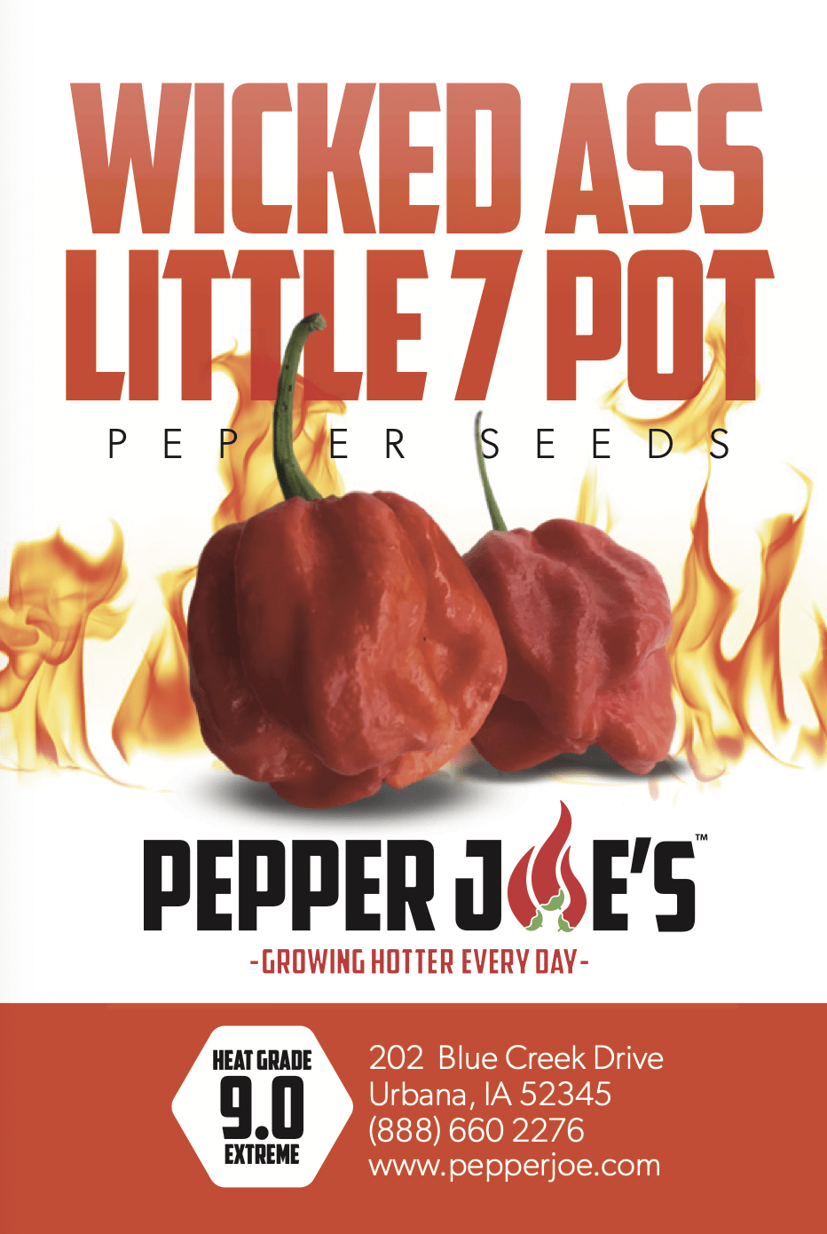 Wicked Ass Little 7 Pot (W.a.l. 7) Pepper Seeds Superhot