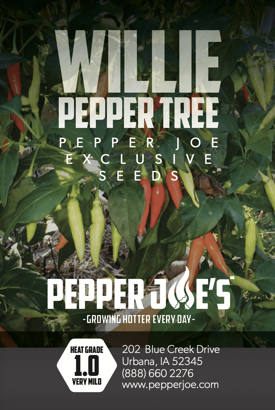 Pepper Joe's Willie Pepper Seeds - seed label