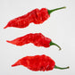Pepper Joe's Sepia Reaper x Pimenta de Neyde chili seeds - three red peppers lined up