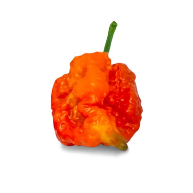 Skunk Red Pepper Seeds Superhot