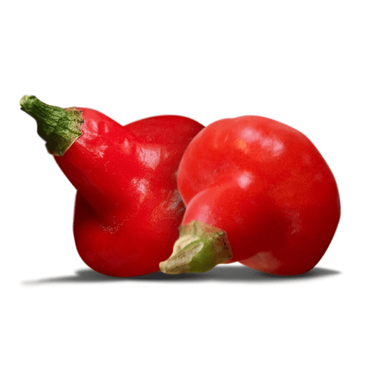 Spinning Top Pepper Seeds Novelty