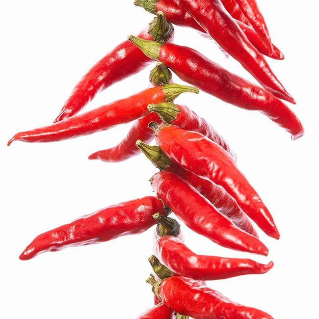 Pepper Joe's Yatzy pepper seeds - yatzay yatsufusa peppers lined up white background image