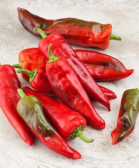 Barker's Hot pepper seeds