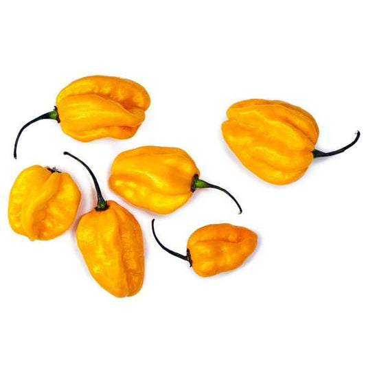 Lemon Habanero - Hot Pepper - Pepper Joe's