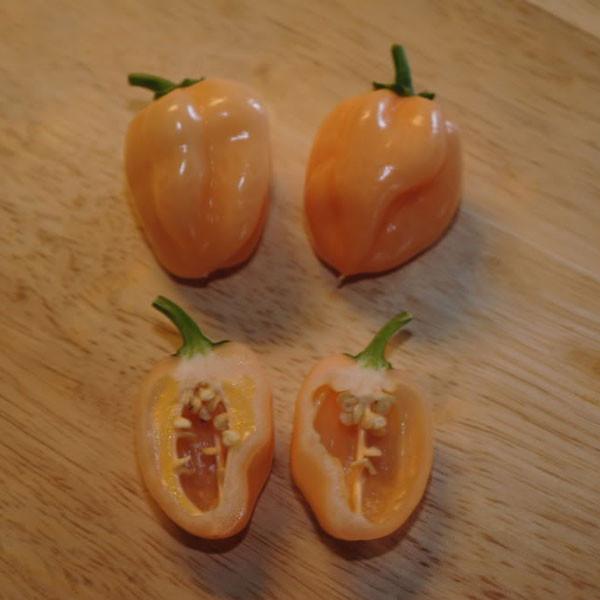 Peach Habanero - Hot Pepper - Pepper Joe's