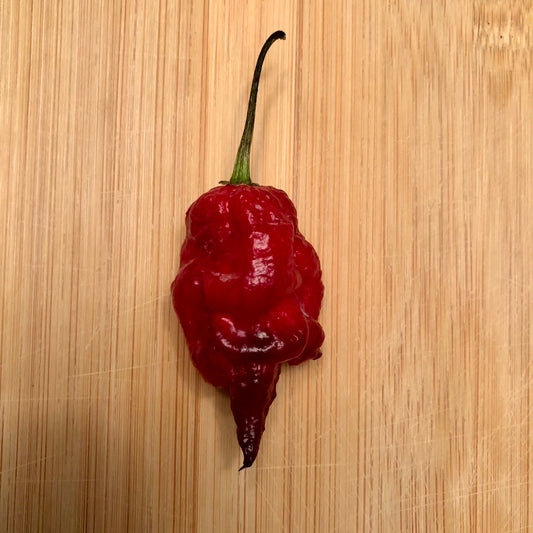 Pepper Joe's Carolina Reaper Sbagliato pepper seeds - Reaper Sbagliato pepper pod on white background